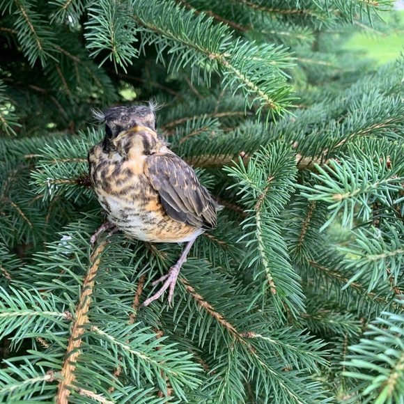 Meet your Posher, Layne - Picture 14 of 16